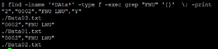 command line find file type linux